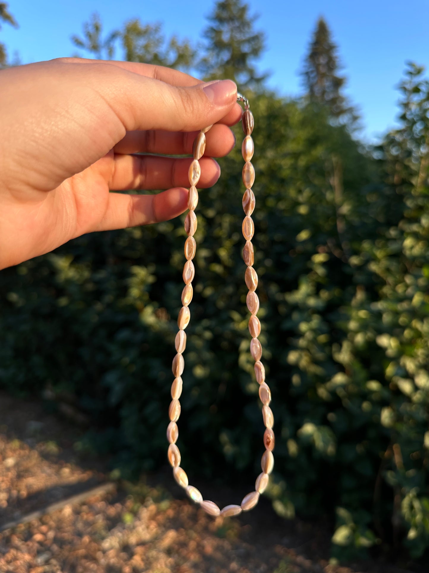 Abalone Necklace